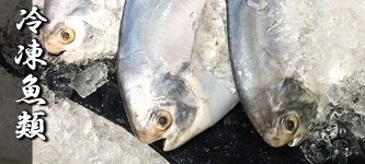 冷凍魚類